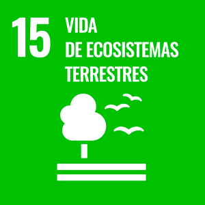 vida de ecosistemas terrestres