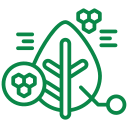 validación de datos a campo