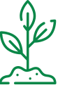 información sobre tus plantas